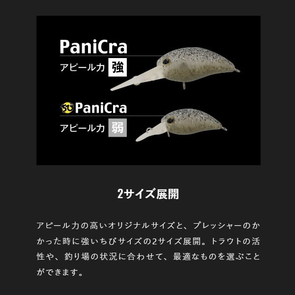 パニクラ DR